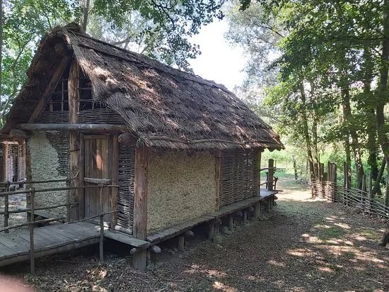 Spazio Espositivo per l’Archeologia del Lago Pistono