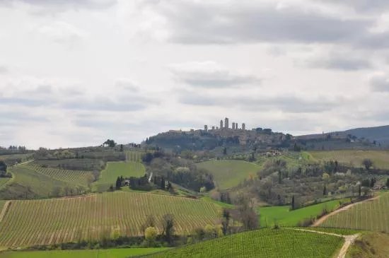 Tuscany in One Day Sightseeing Tour