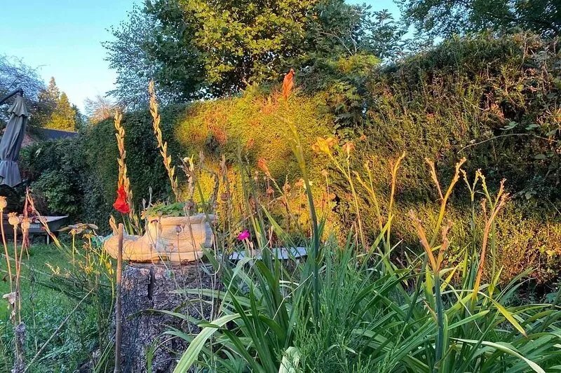 Studio/Lickey Hills/Near Attractions/Garden/PetOk