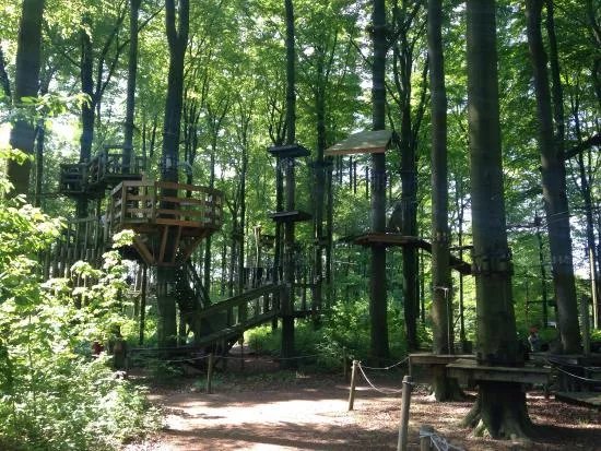 Forest Adventures - Kletterwald Wetter