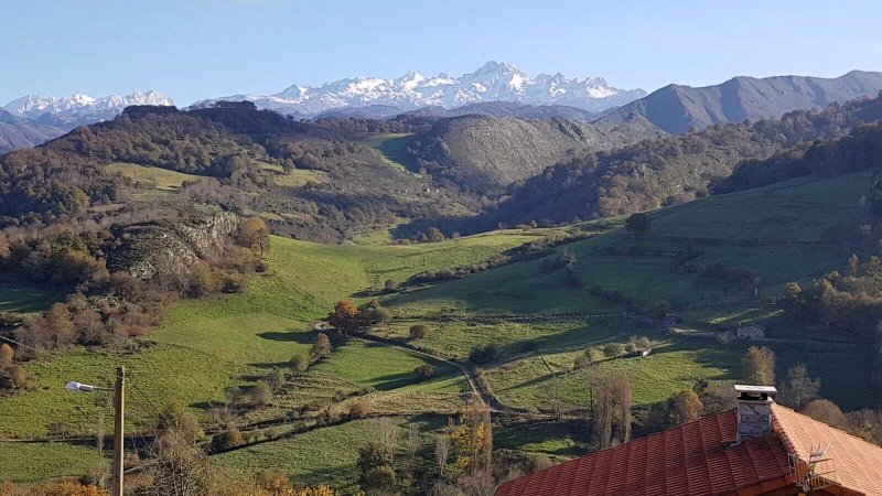 Apartamentos Rurales Los Falares de la Abuela Berta