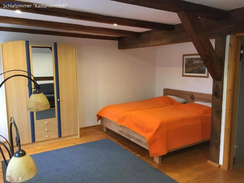 Ferienwohnung Kastanienblick oder Parkblick