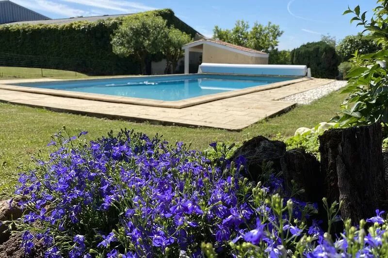 Come relax on a Bordeaux family vineyard in this charming bright holiday house