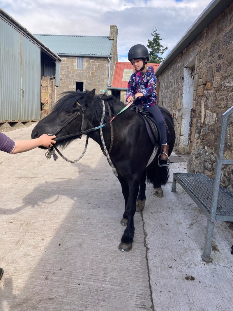Barbarafield Riding School