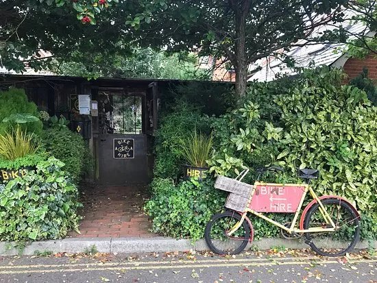 AA Bike Hire New Forest