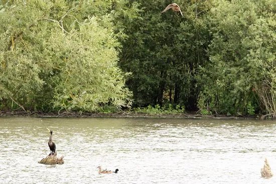Denaby Ings Nature Reserve