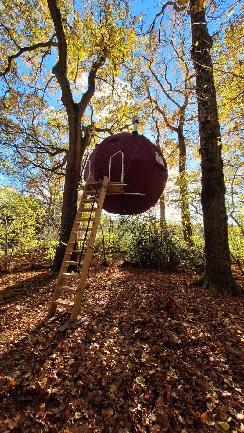 Strawberry Lane Tree Tent