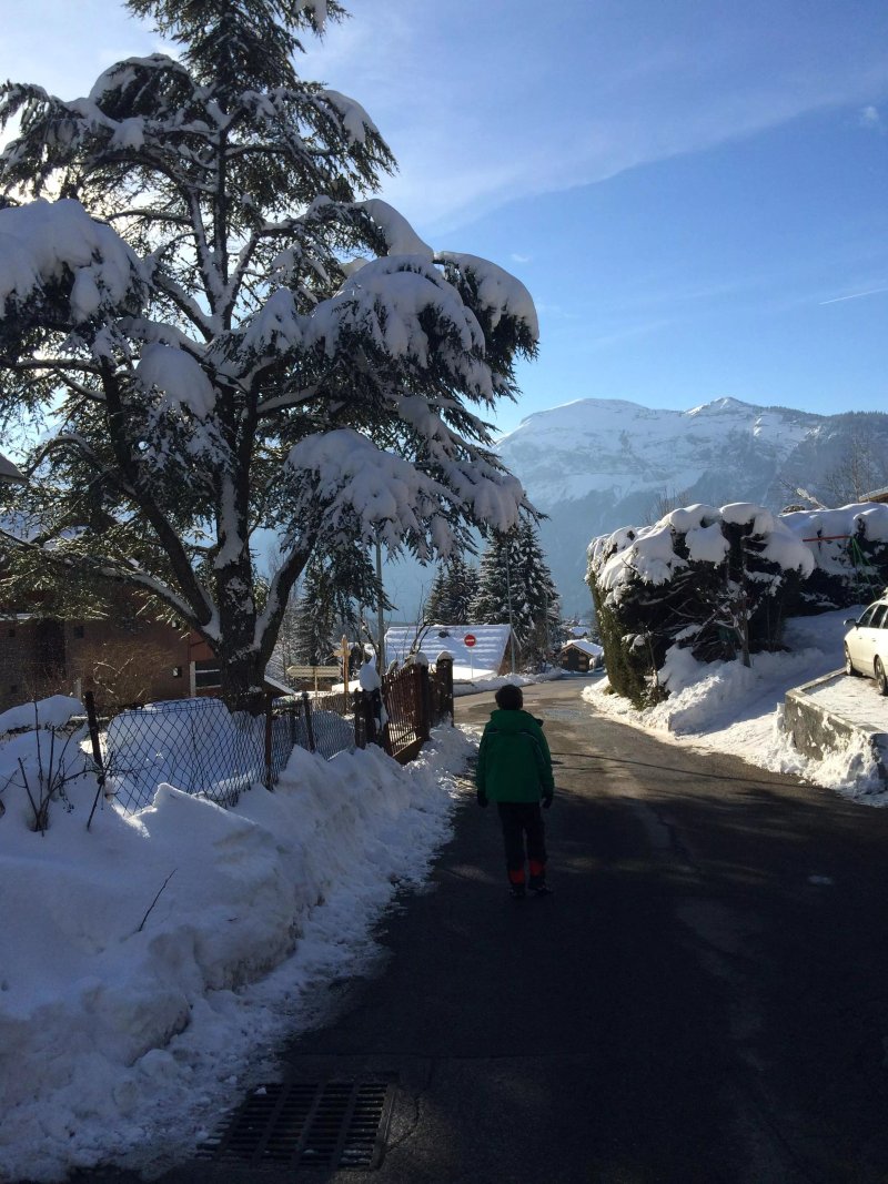 Chalet Deux Freres - By Skiology