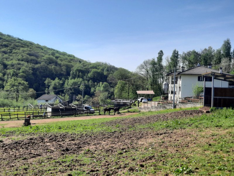 Favetto Family Ranch