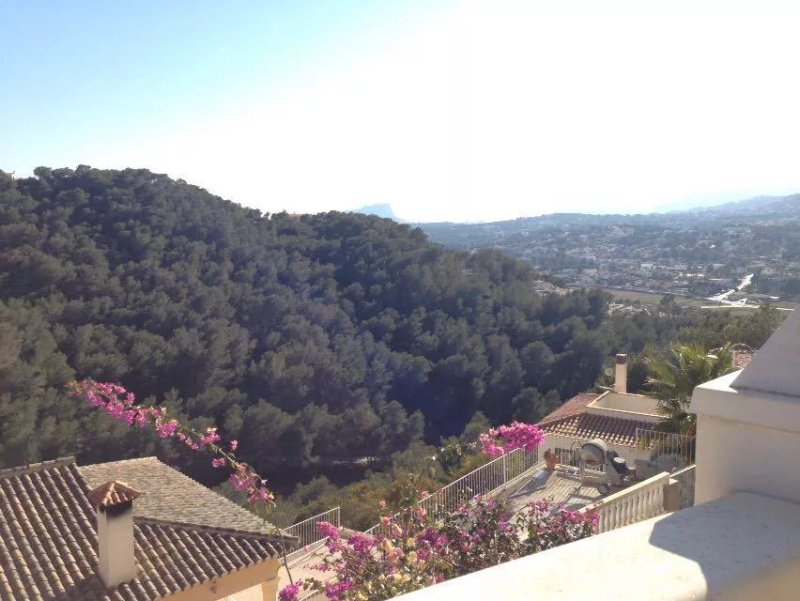 Casa Tranquility Bed and Breakfast