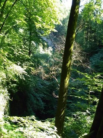 Schluchtenweg Sevelen