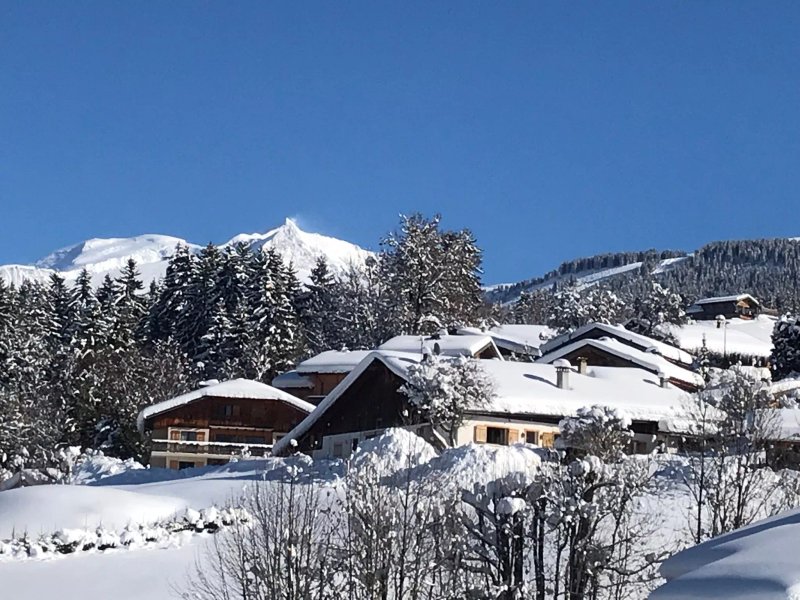Ski Technique Ski School Megeve
