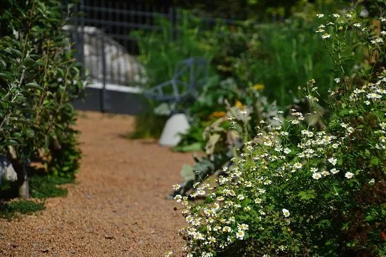 Pfarrers Garten