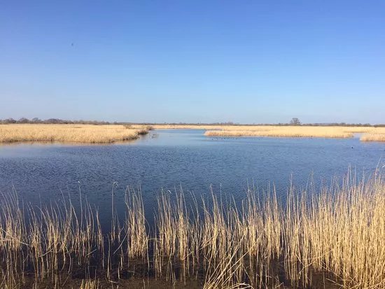 Otmoor