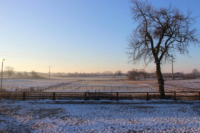 Ponyhof Suderbrarup