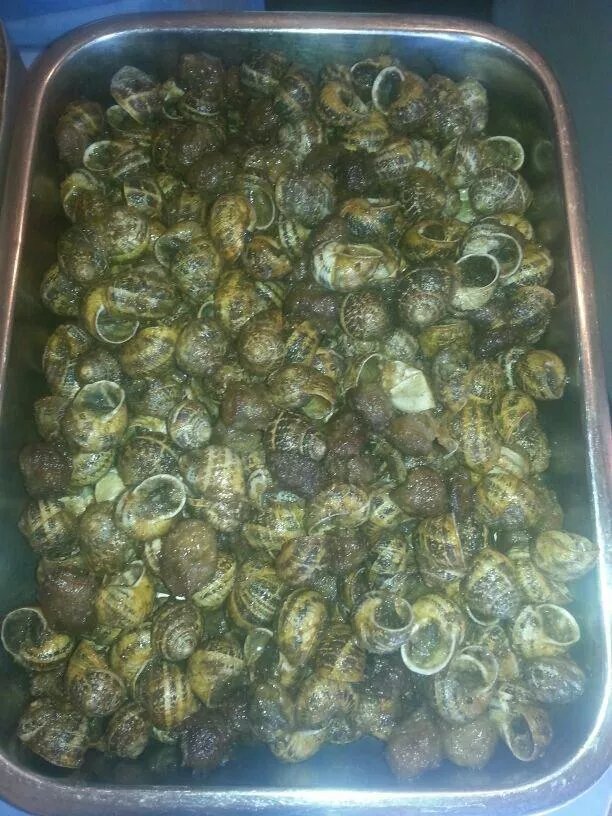 Rostisseria Romina