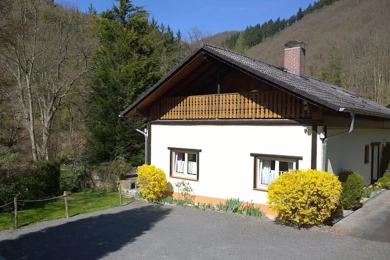 Holiday home in a beautiful woodland setting in the Rheingau