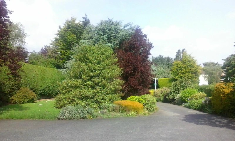 Avondale B&B