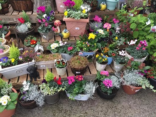 Hollybeck Nurseries