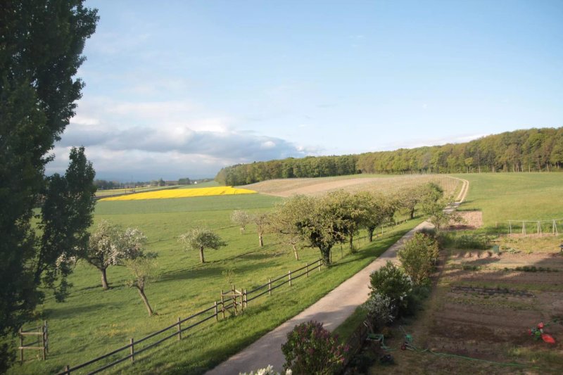 Domaine de Bois-Bougy