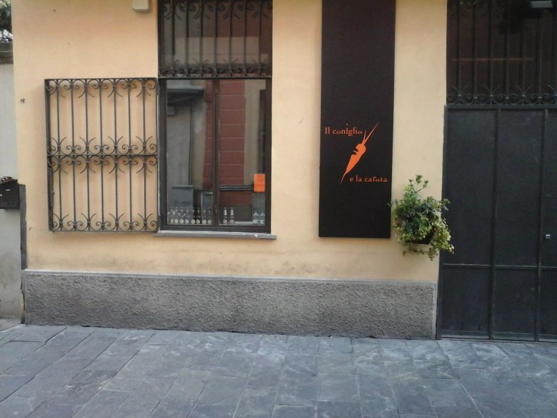 Il Coniglio E La Carota