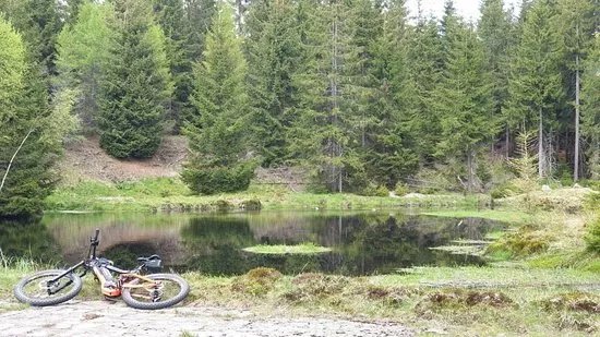 Wypozyczalnia Rowerow Elektrycznych Cal