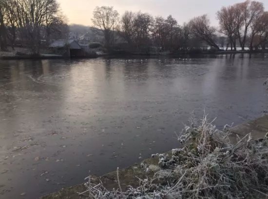 Walton Dam