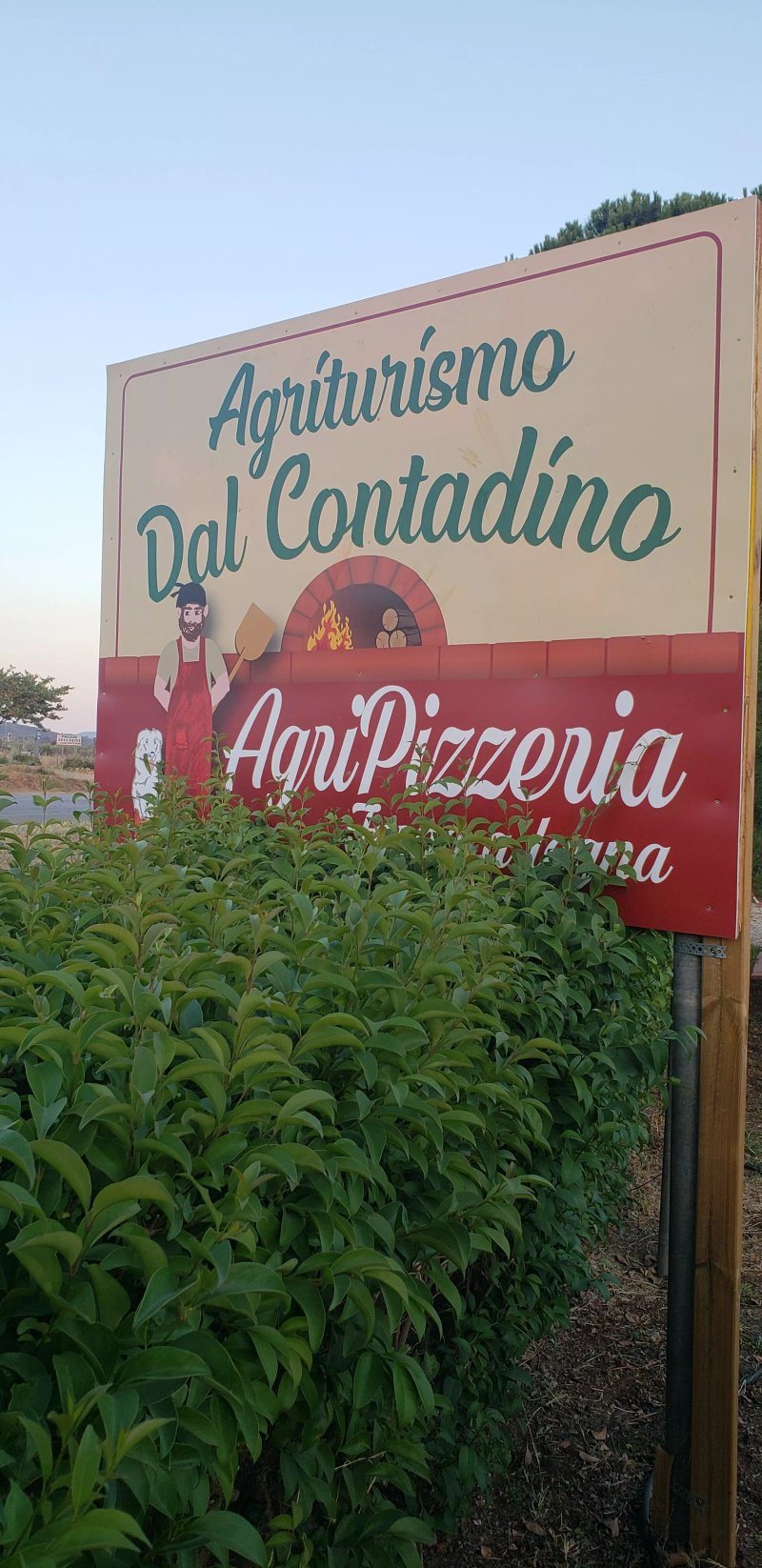 Pizza a taglio e verdure grigliate dal contadino