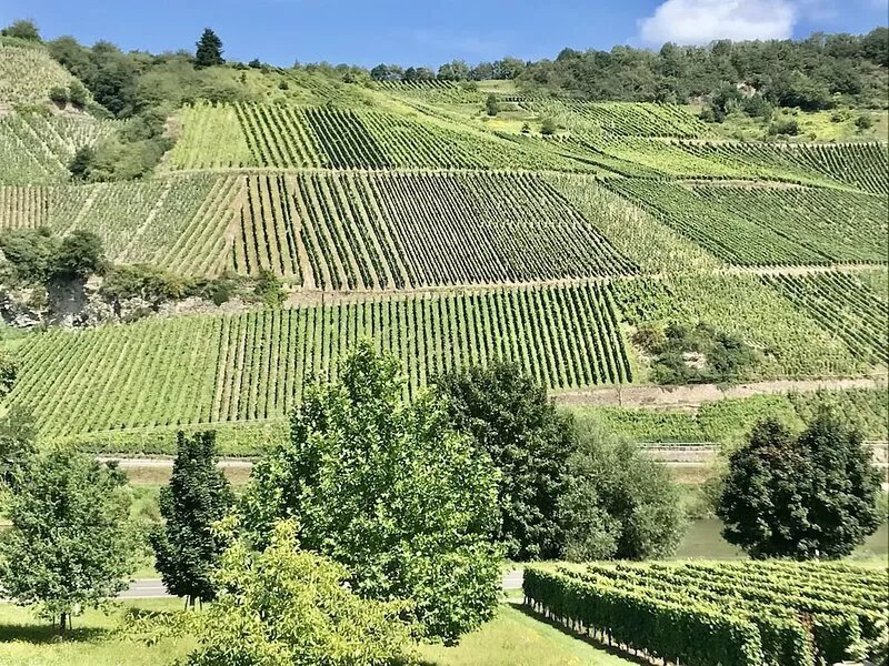 Romantic hideaway with a view of the vineyards