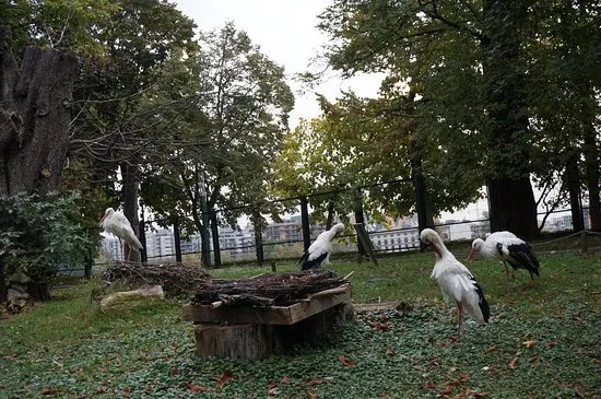 Pet Zoo on the Margaret Island