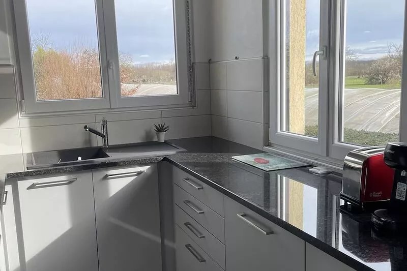Sélestat - Beautiful house with garden Les Tulipes 3⭐