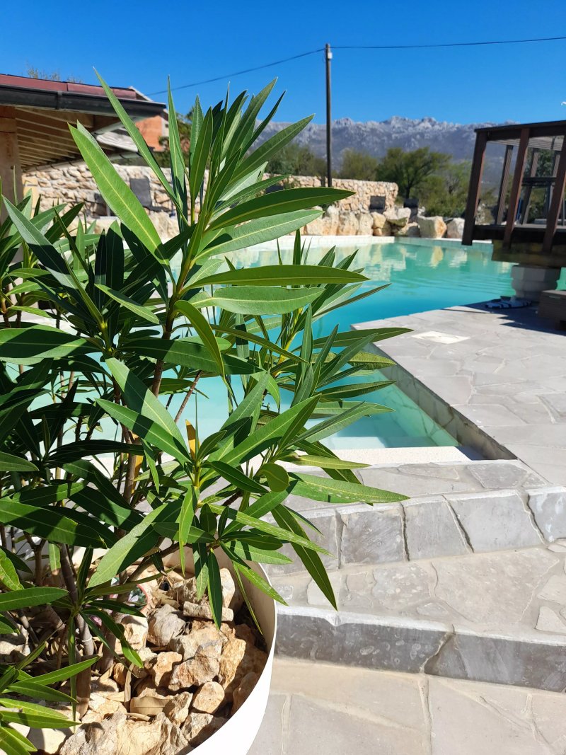 B&B Wellness Mama Mia
