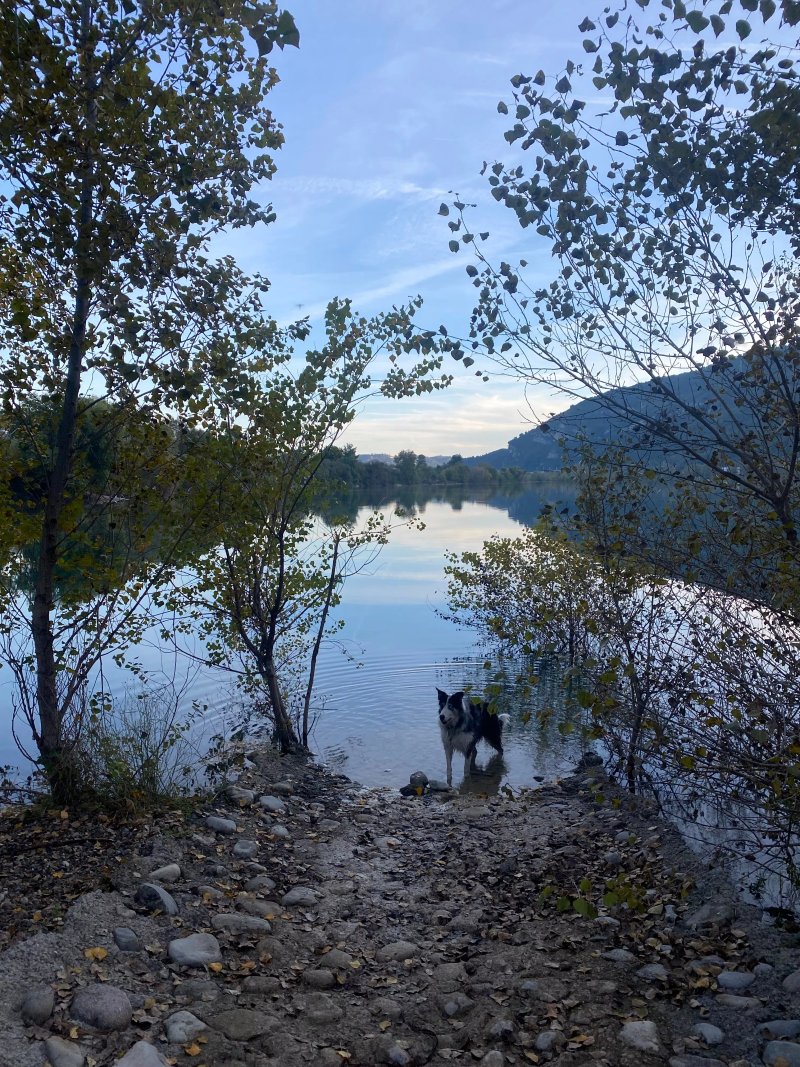 Lac Du Broc