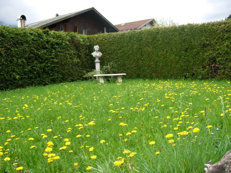 Gasthaus am Zierwald