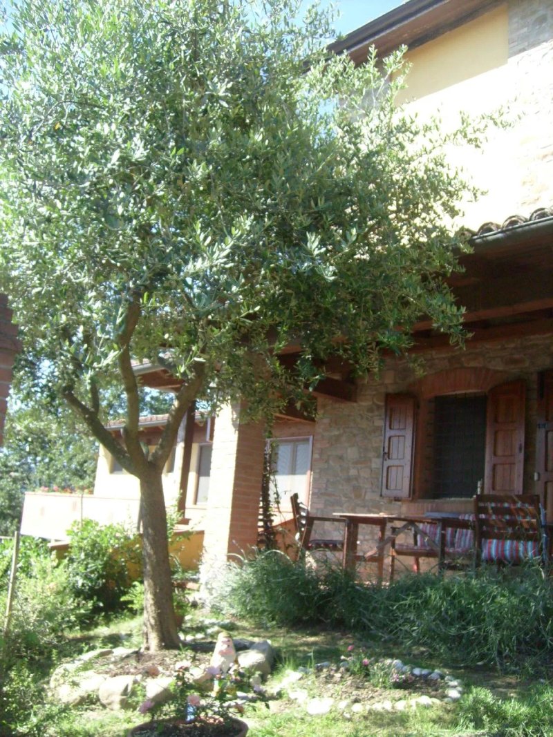 Agriturismo la Borgaccia