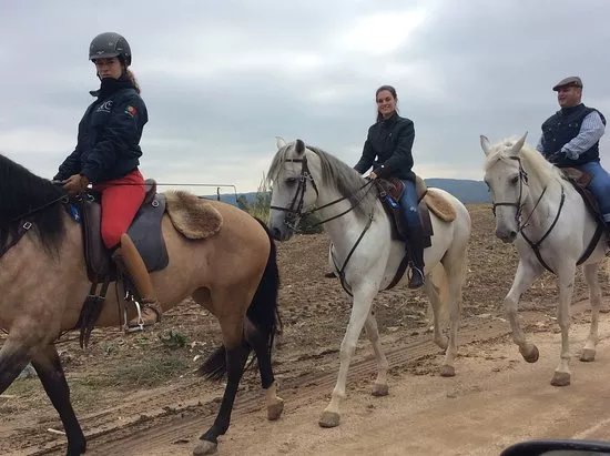Golega a cavalo