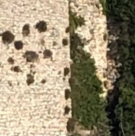Resti del Castello di Cordignano