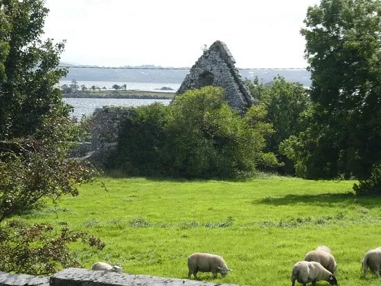 Annaghdown Cathedral & Abbey