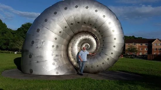 Mollusc
