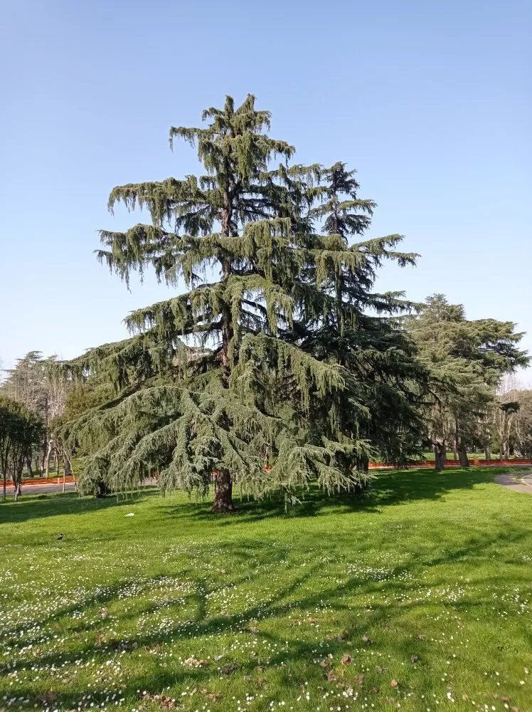 Parco Del Turismo