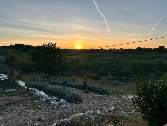 Azienda agricola Cali