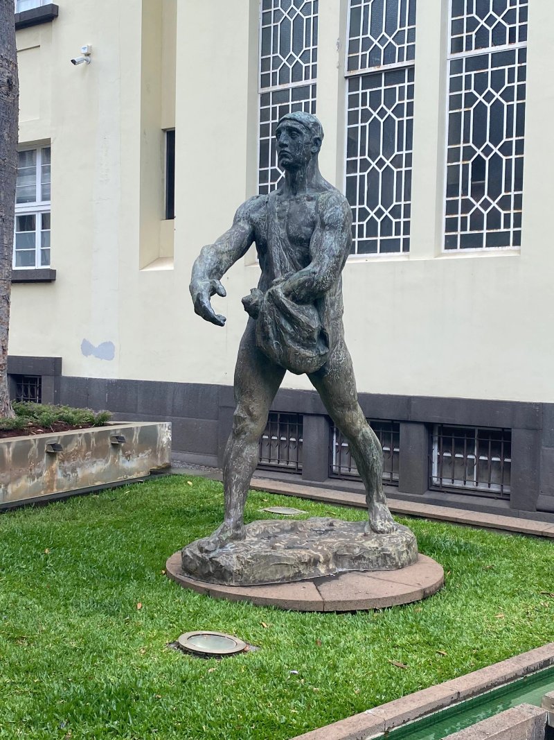 O Semeador