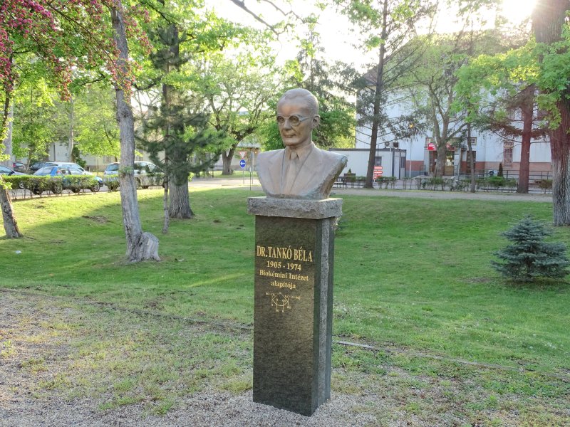 A Debreceni Klinikai Szoborpark