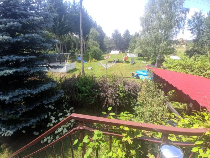 Zielona Gęś