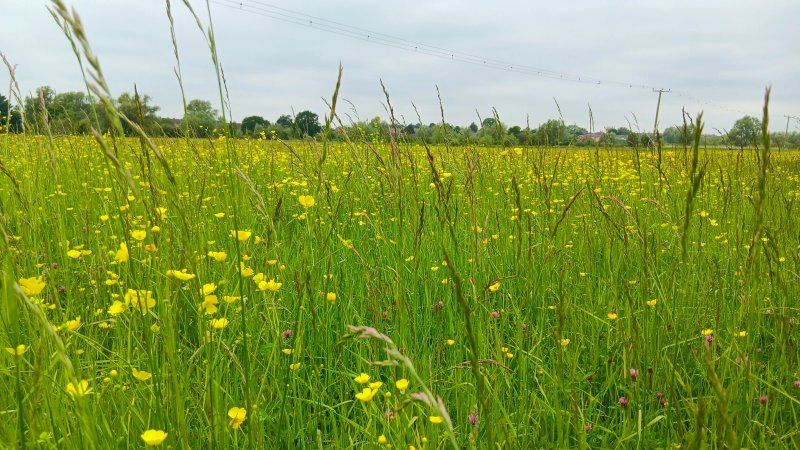 Tewkesbury Nature Reserve