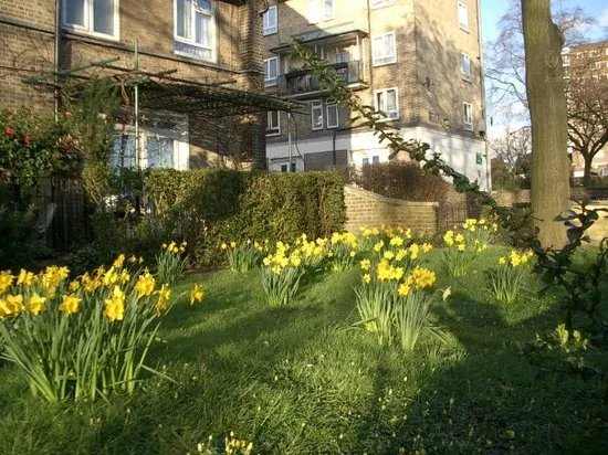 St. John's Wood