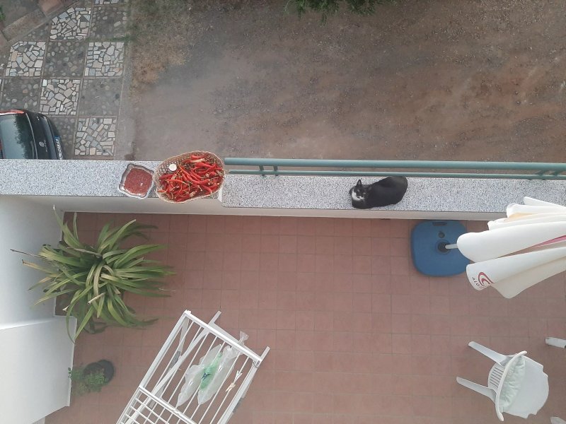 Al Bianco Loto