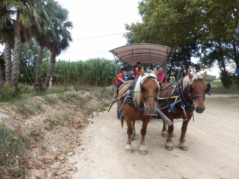 Les Balades Gourmandes des Caleches Catalanes