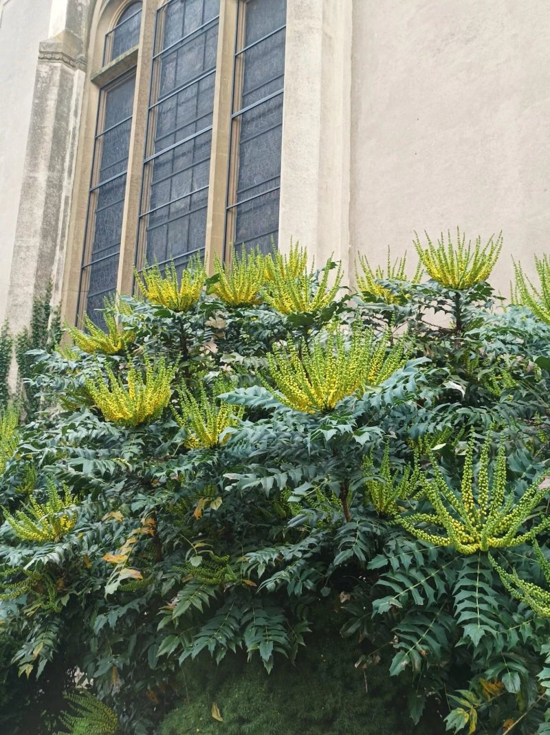 Eglise Jesus-ouvrier