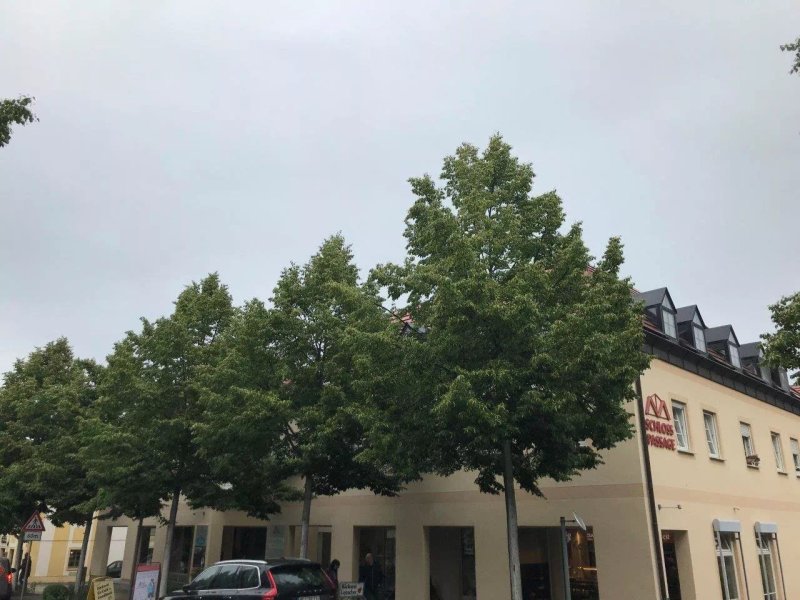 Backerei & Konditorei Liebscher